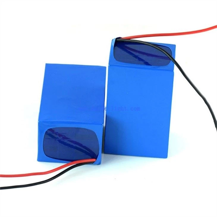 lithium ion phosphate battery