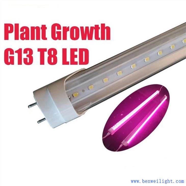 Rast rastlin G13 T8 Led