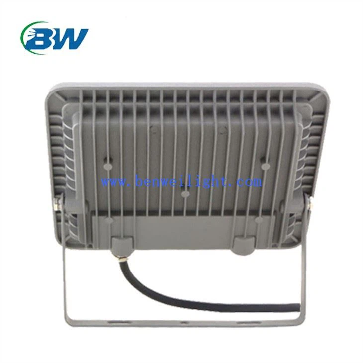 50-vatna poplavna luč