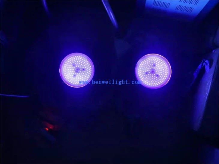 365nm 100w 200w 500w Uv Led črna svetloba