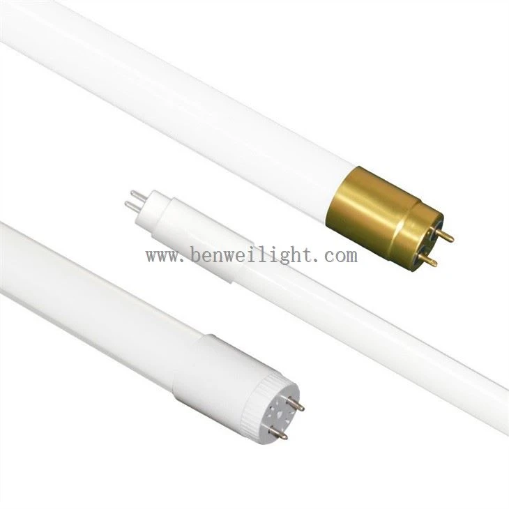 T5 LED CEV 300MM 12V 24V