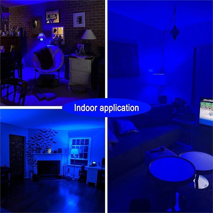 blue light bulbs application