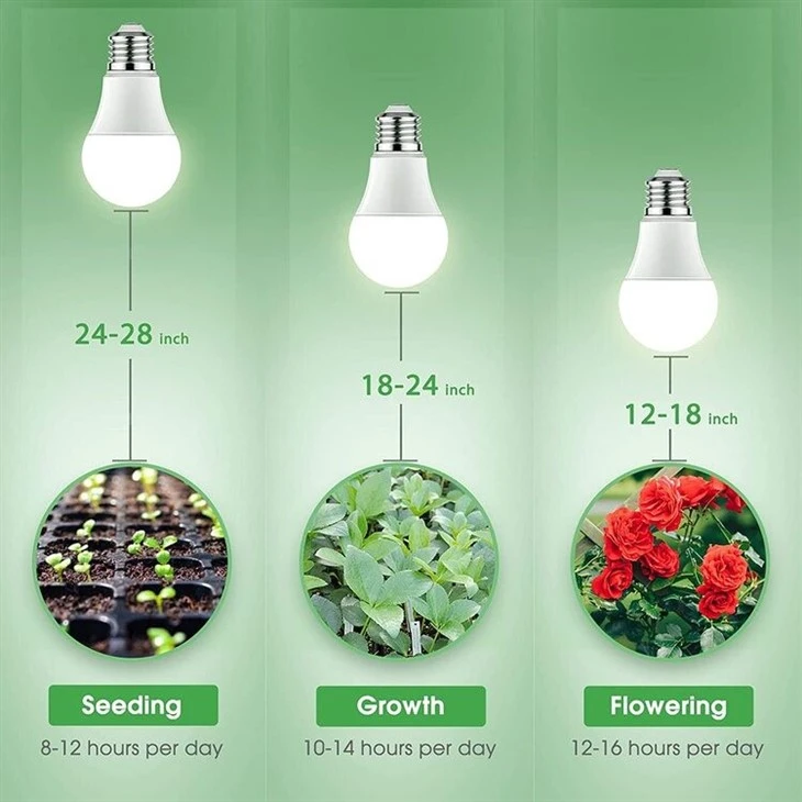 full spectrum light bulbs detail1