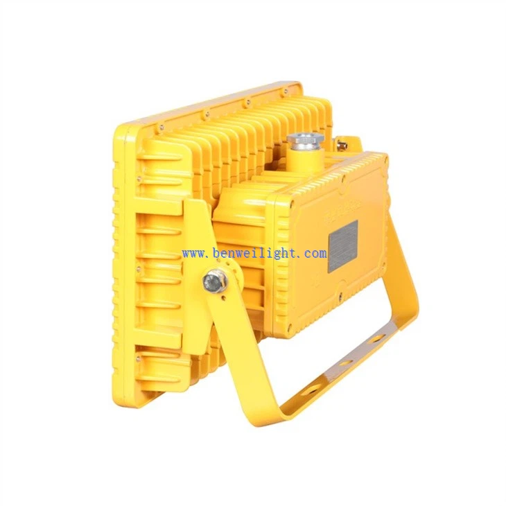 100W Explosion-Proof Light (3)
