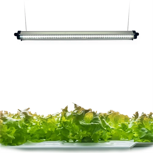 240 LED svetlobni trakovi polnega spektra za rast rastlin s časovnikom za samodejni vklop/izklop 3/9/12 ur