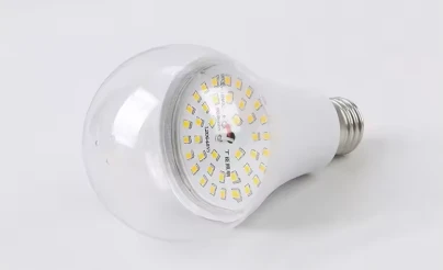 Full-Spectrum LED Dragon Fruit Grow Bulb suppliers