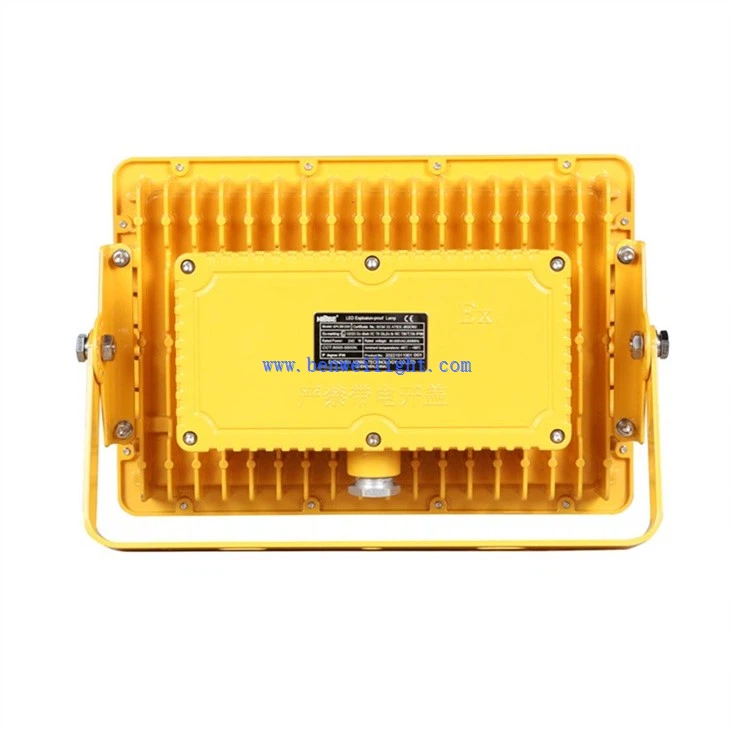 Hazardous Location Light (2)