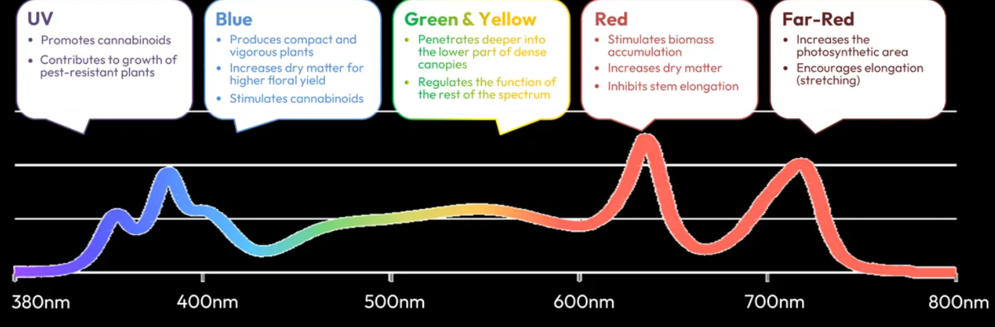 QQ20260126-181310 QQ20260126-181310