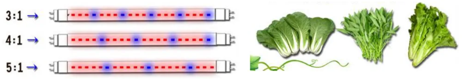 QQ20260126-182021 QQ20260126-182021