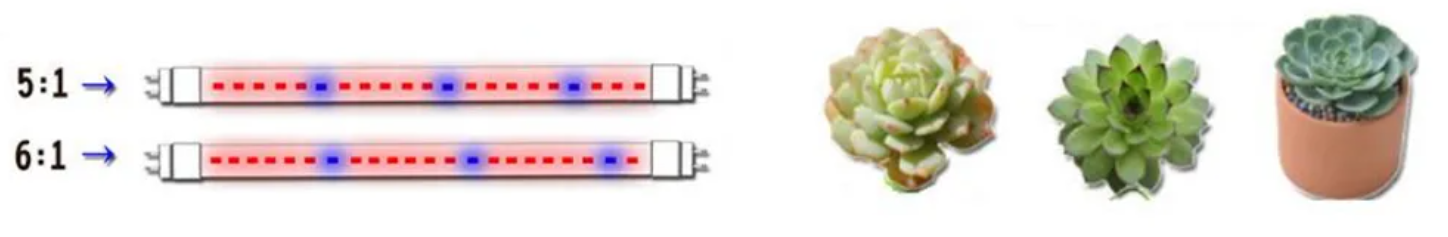 QQ20260126-182609 QQ20260126-182609