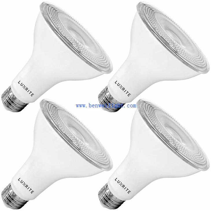 PAR30 Flood Light Bulb