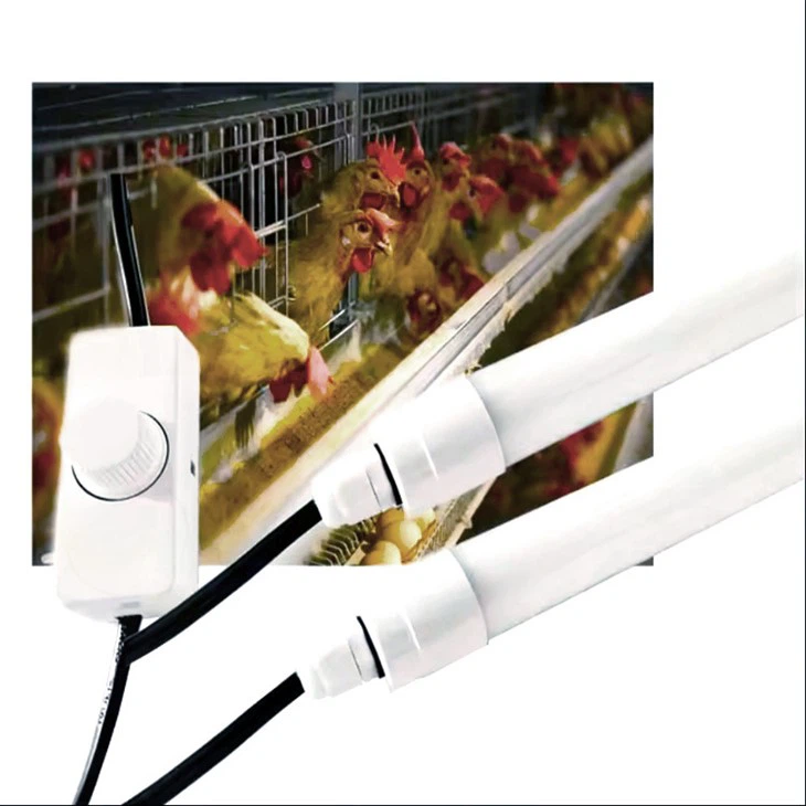 Vodotesne LED luči za perutnino
