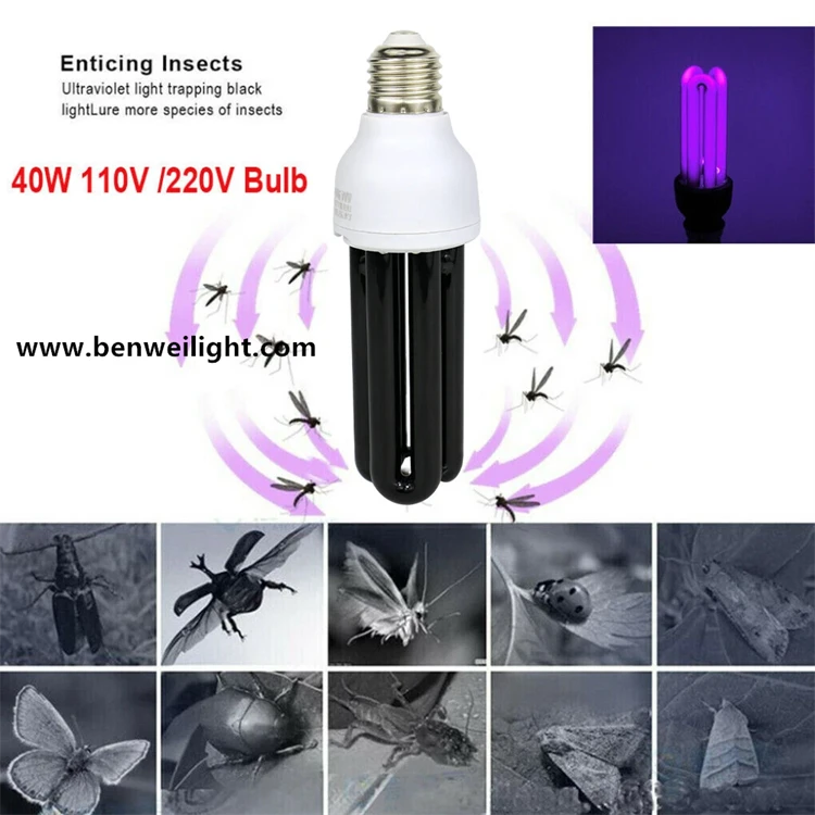 product-750-750 product-750-750