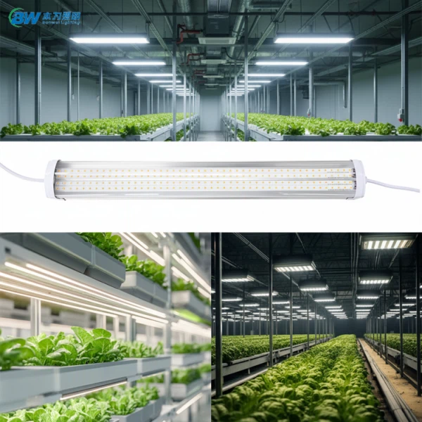 T20 zatemnjena zelenjavna led Grow linearna povezljiva svetilka IP65 20-88 W